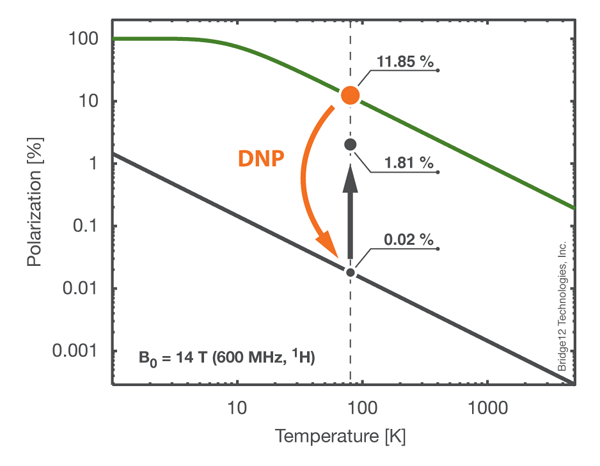 Example of DNP-NMR Experiment